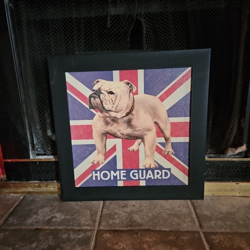 Plucky Brits Home Guard Picture Framed multicolor wall art